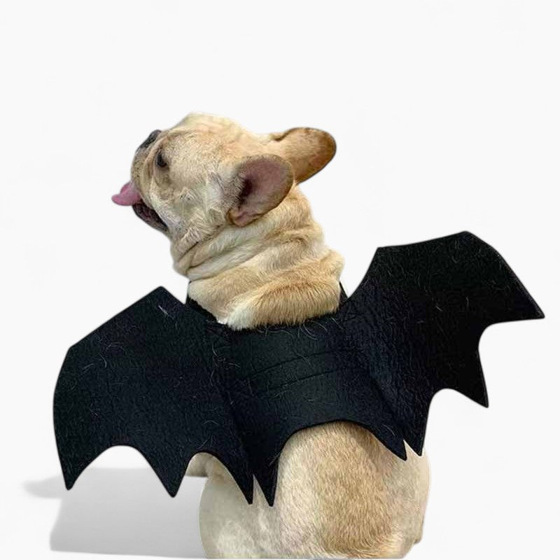 NoctiBull Frenchie Bat Wing Costume – Halloween Wings Dog Costume
