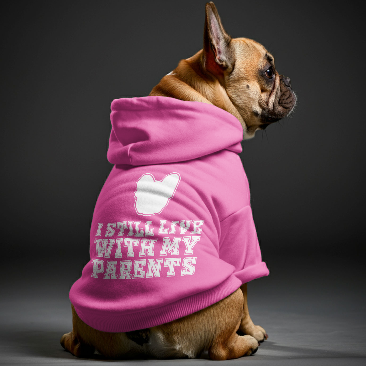 I Still Live With My Parents - Bulldog Inspired Personalized French Bulldog Hoodies With Funny Quotes – Stylish, Cozy, And Premium 100% Cotton For Dog Lovers