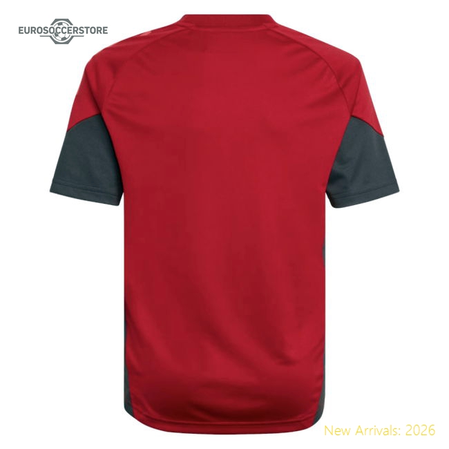 Soft Liverpool Kids Jersey 2025-2026 Performance Fabric