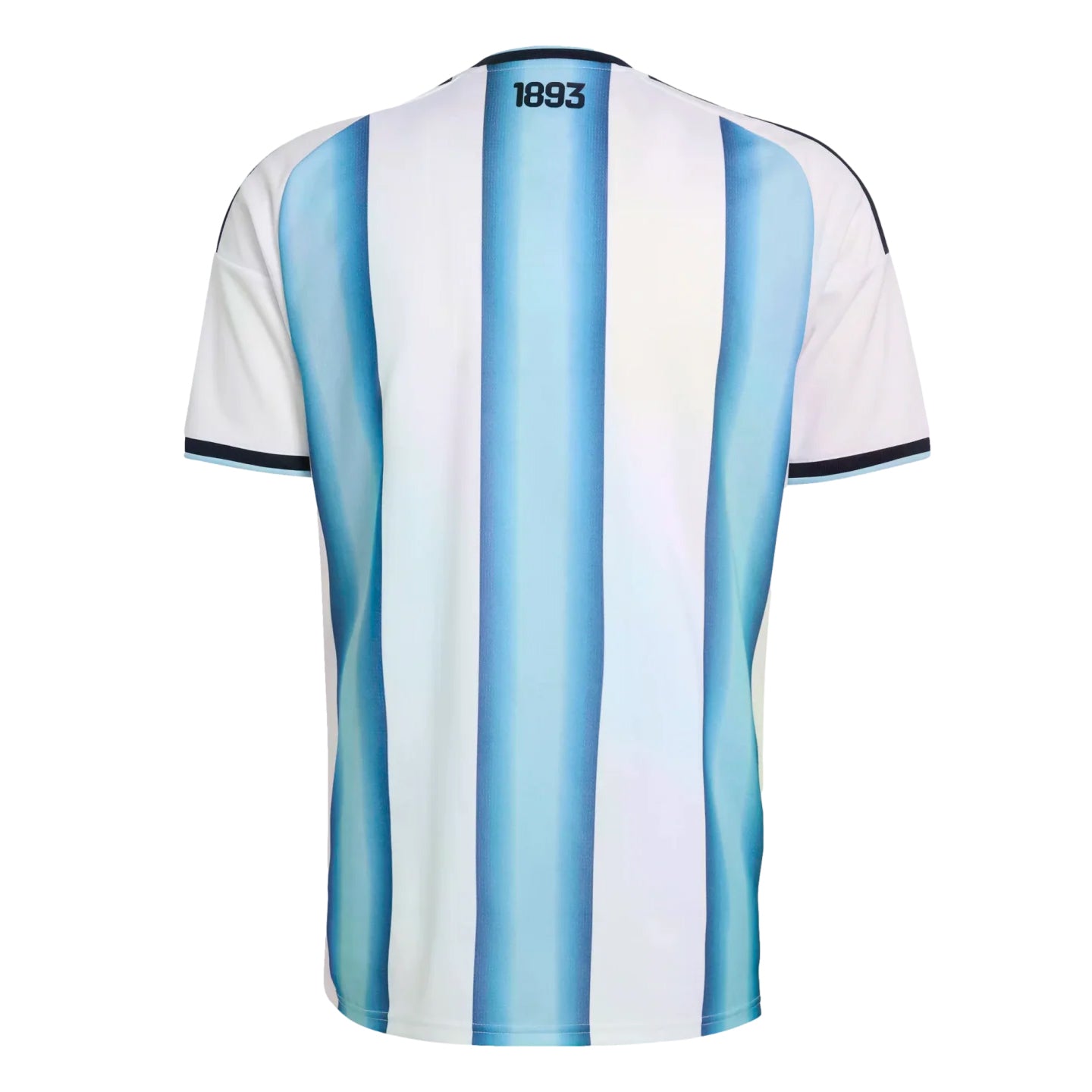 Argentina National Team 2026-2027 FIFA World Cup Home Jersey –  Fan Version S