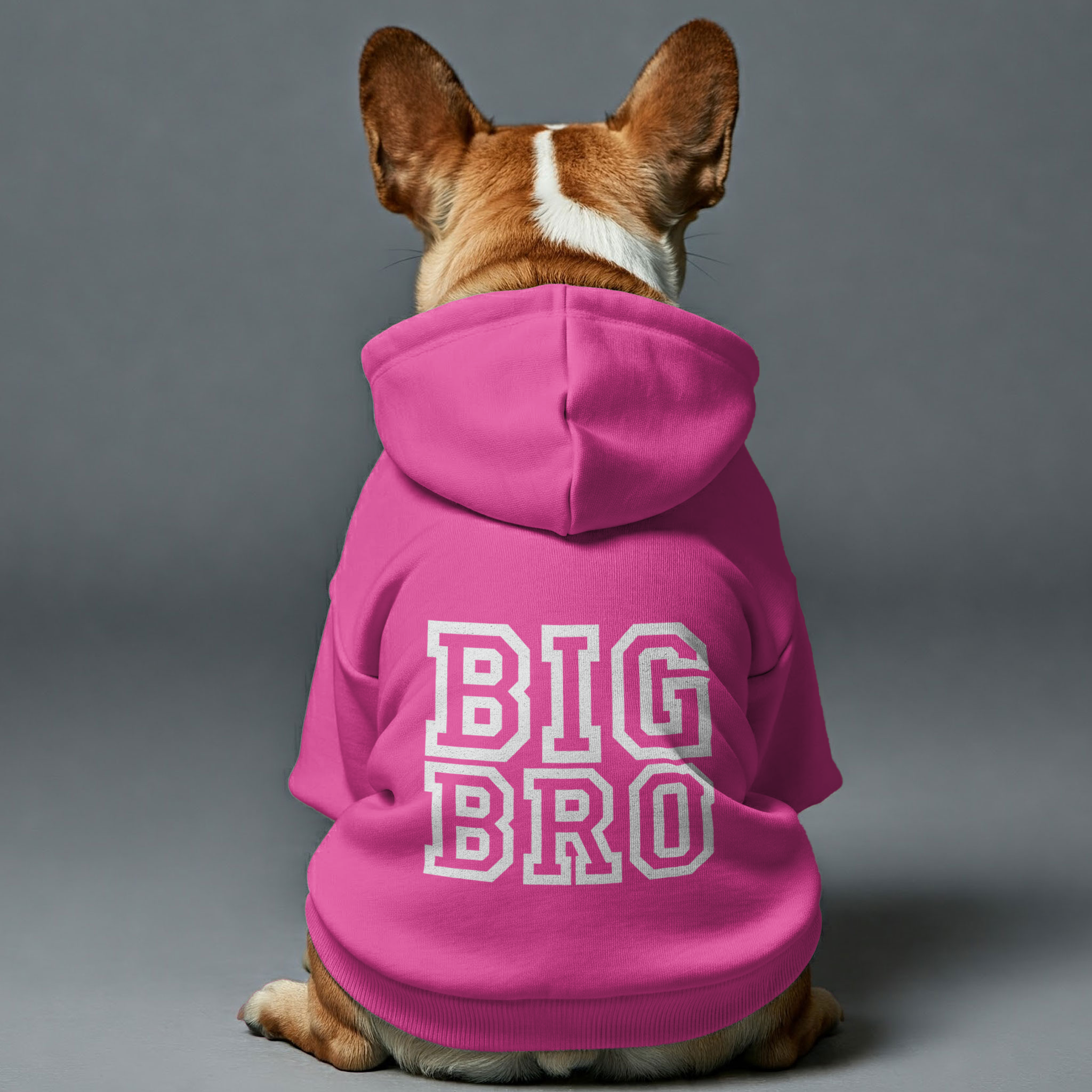 Big Bro - Stylish Personalized French Bulldog Hoodies With Funny Quotes – Stylish, Cozy, And Premium 100% Cotton For Dog Lovers