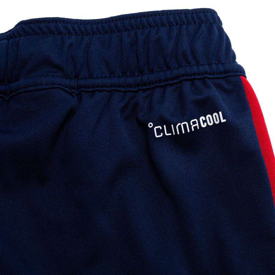 Bayern München Training Shorts Tiro 26 - Night Indigo/Preloved Ink