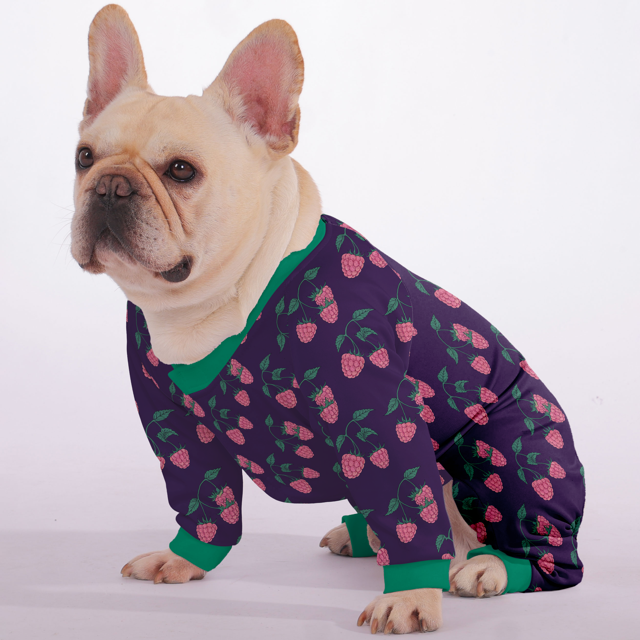French Bulldog Ruby Frenchie Pajamas – Ultra Soft, Cozy, & Adorably