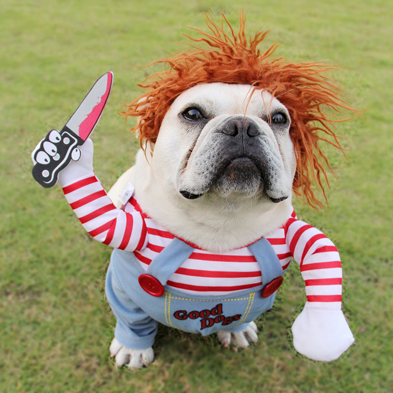 French Bulldog Chucky Costume For French Bulldog (ws44) Durable Dog Item