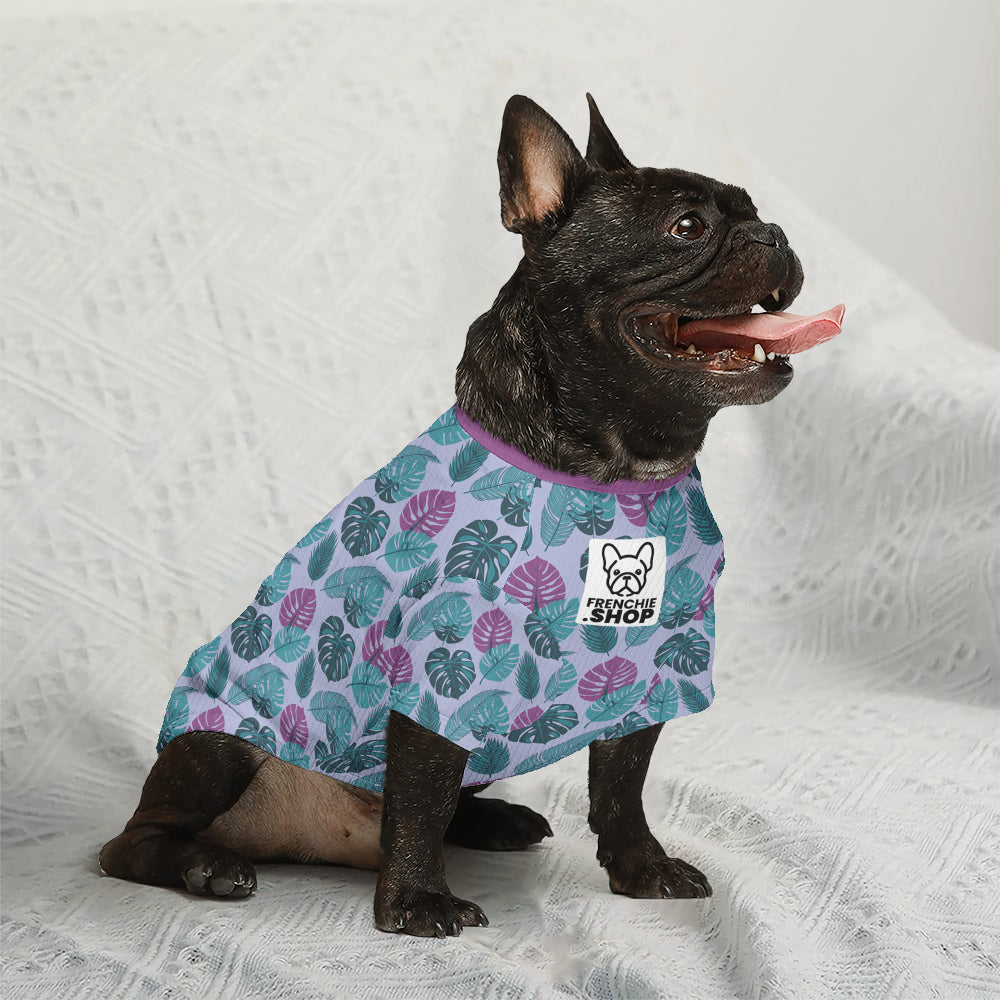 - Stylish Wool Sweater For Frenchies Pet Owner Apparel | Stylish Look