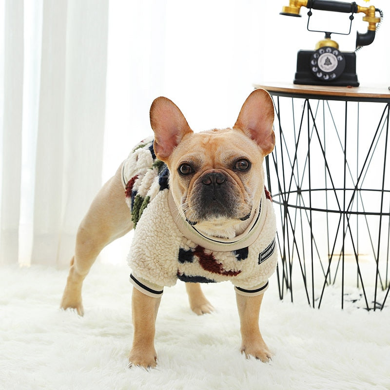 Minimal-Aesthetic Winter Vest Jacket For French Bulldog (ws306) for Dog