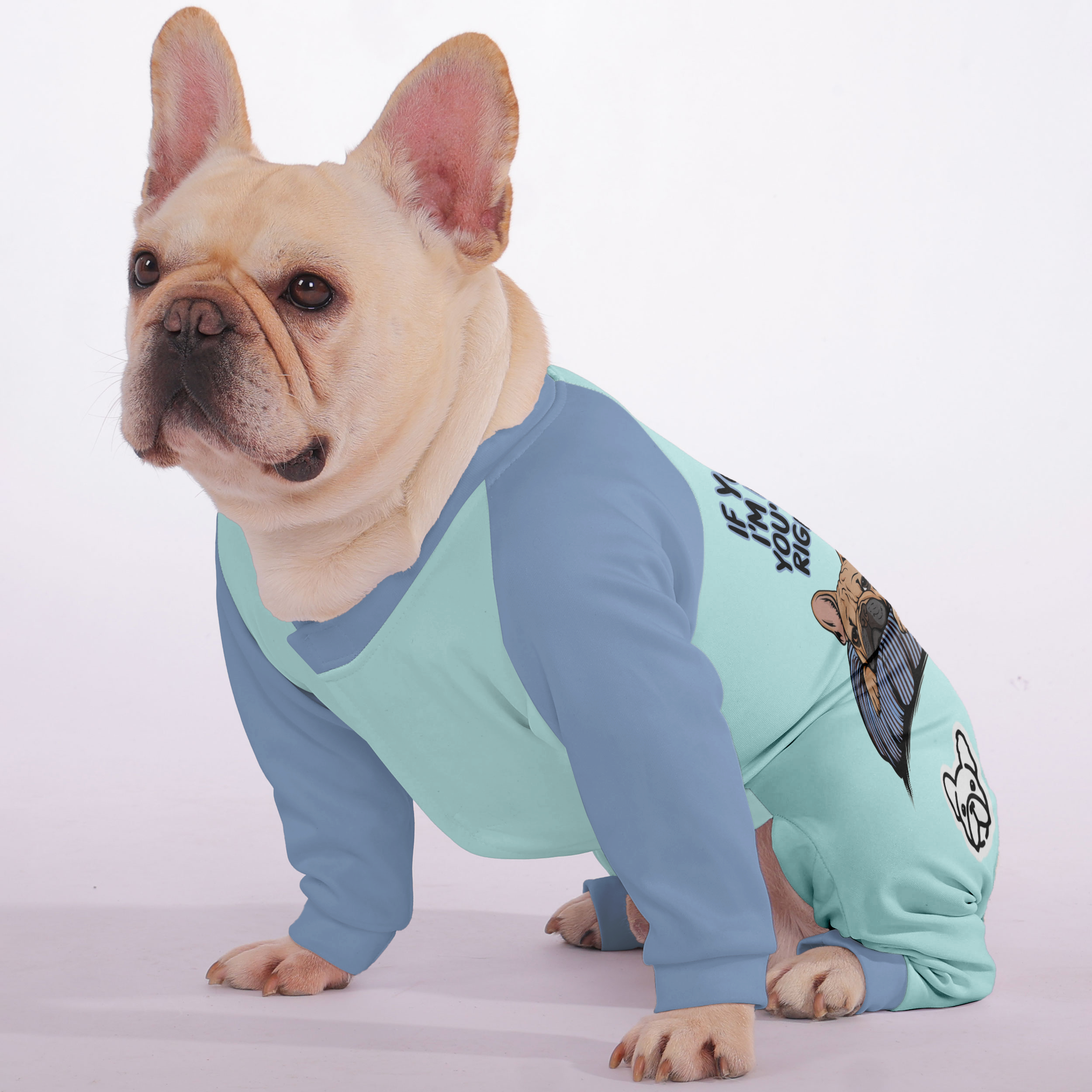 Trendy If You Think Im Napping, Youre Probably Right. - Frenchie Paja...