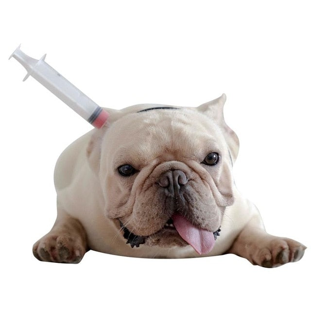 Halloween - Safe Accessories For French Bulldog Outdoor Use