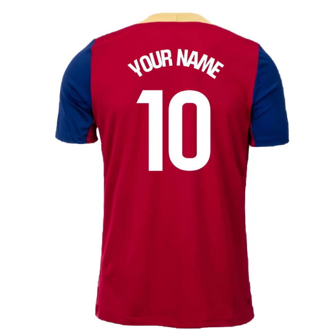 2025-2026 Barcelona Training replica jersey - performance performance