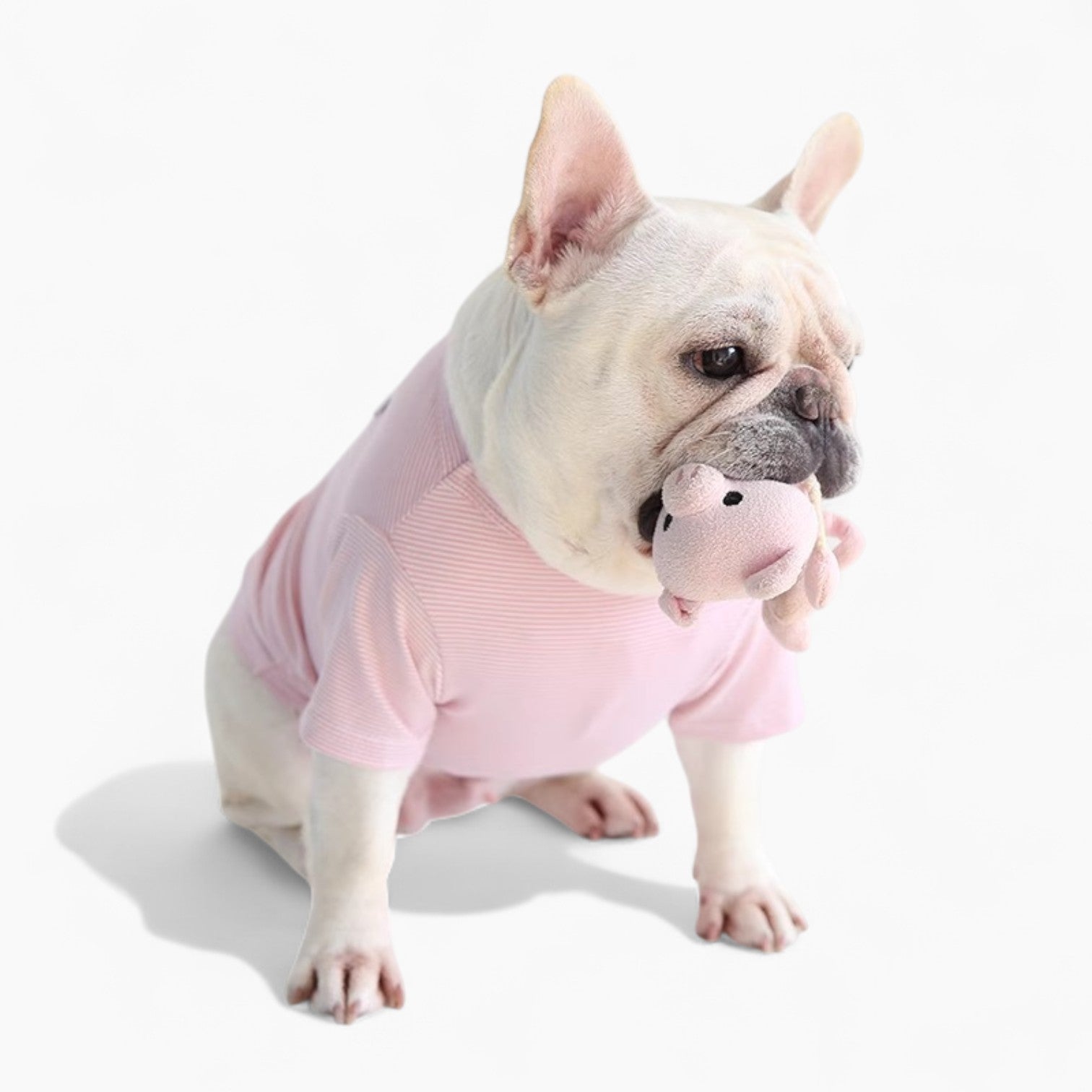 FrozTee Frenchie Polar Bear T-Shirt – Soft Breathable Summer Dog Tee