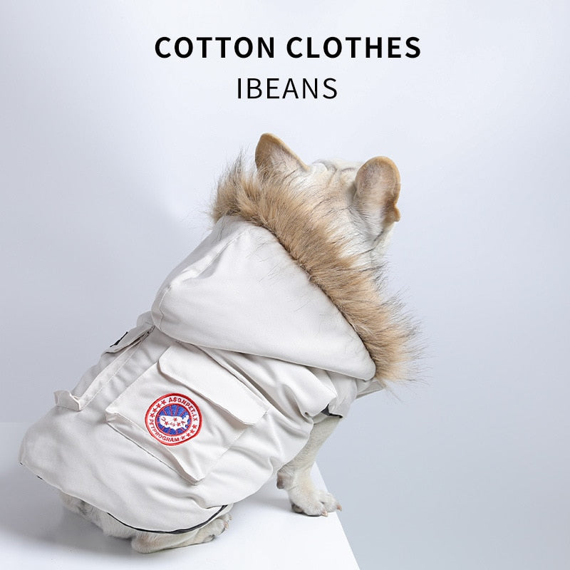 Trendy Winter Clothes for French Bulldog (WS390)