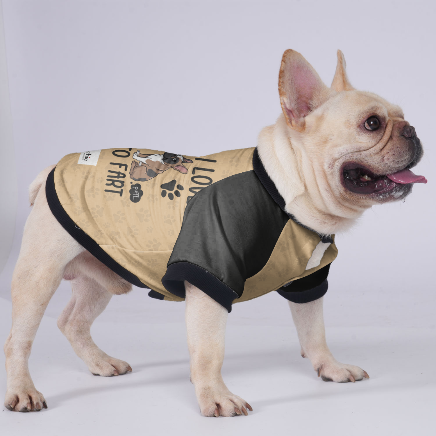 French Bulldog I Love To Fart Jacket For French Bulldog Warm Dog Outfit