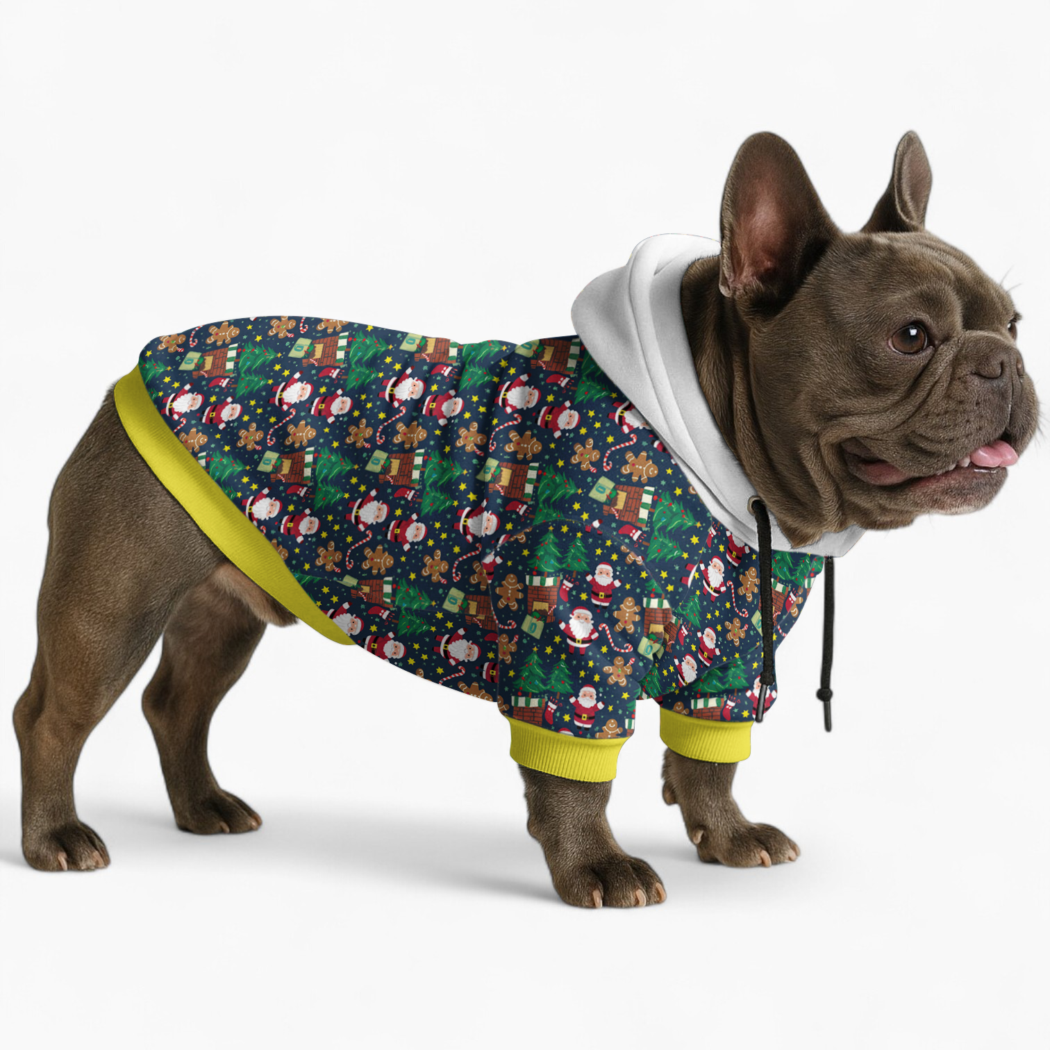Lifestyle-Driven Premium Chris- Frenchie Hoodie for Casual Outings