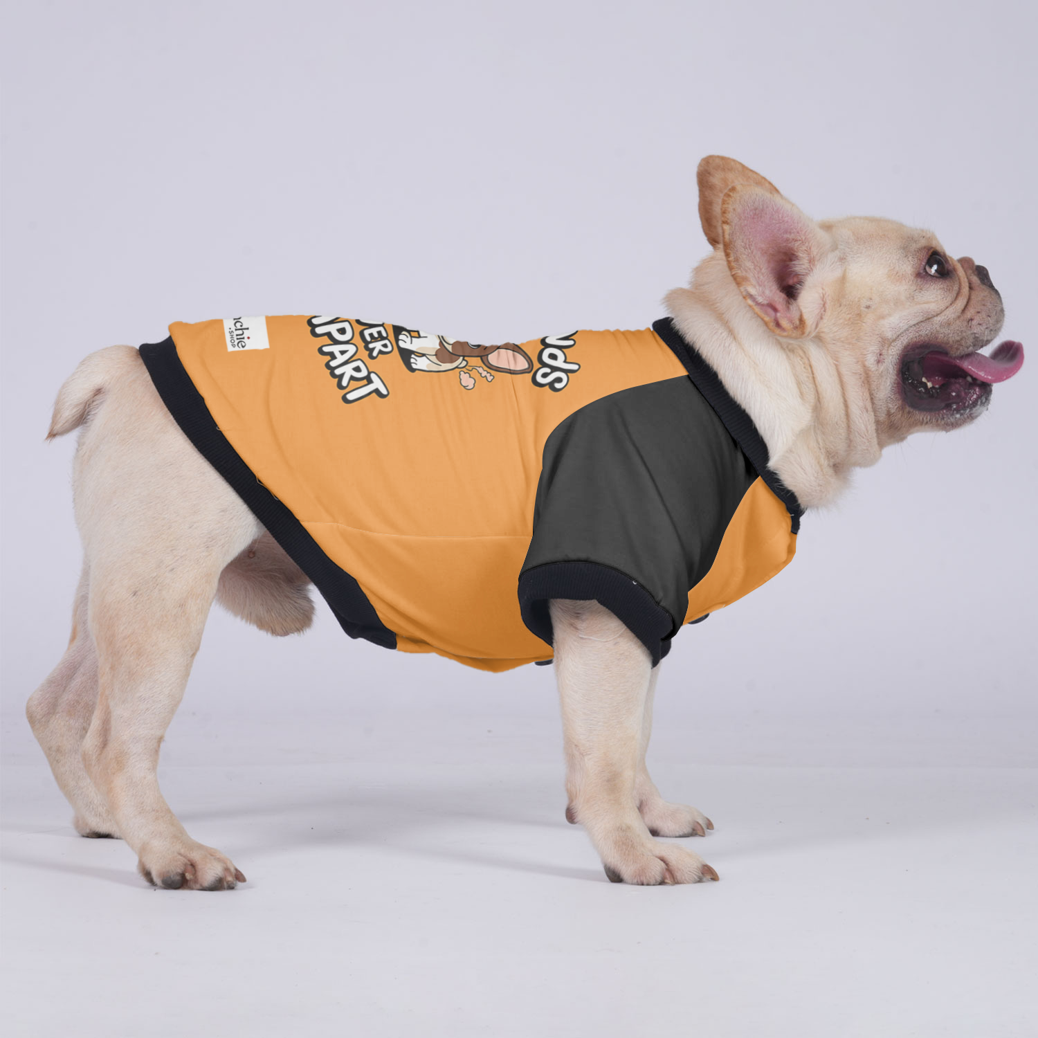 Zoey - Breed-specific Jacket For French Bulldog Indoor Use | Comfort Fit