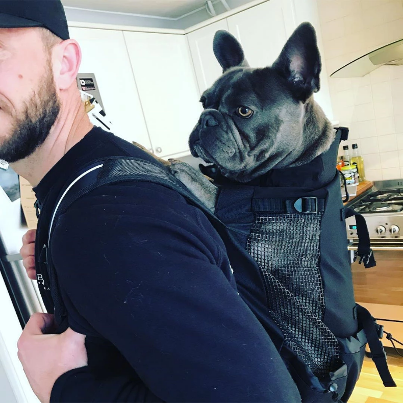 Trendy Culture-Inspired Frenchie Backpack™ [v1] (cs03) for Everyday Wear