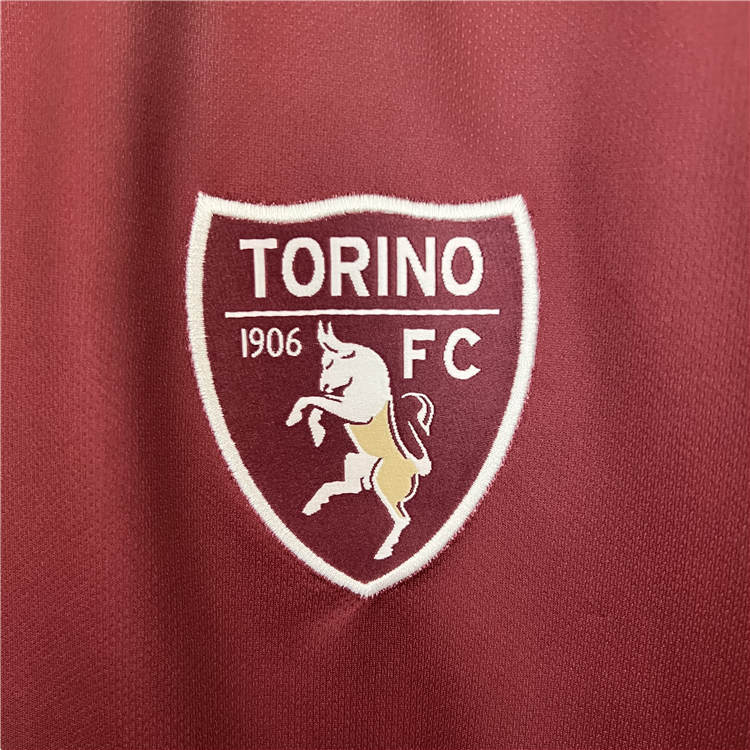 Quick Dry Torino 2324 Special Edition Soccer Jersey Football Shirt