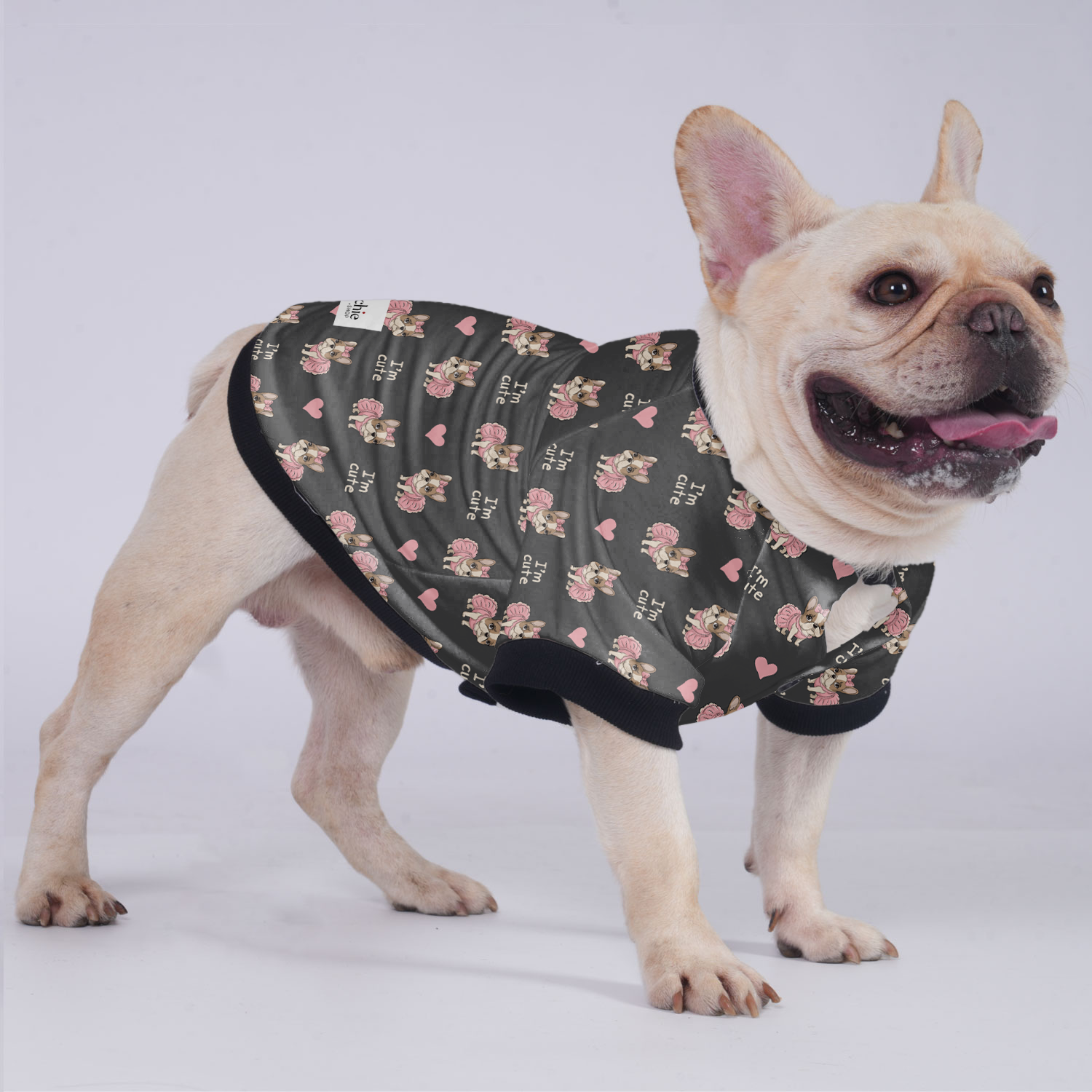 James - Vet-recommended Jacket For French Bulldog For French Bulldogs