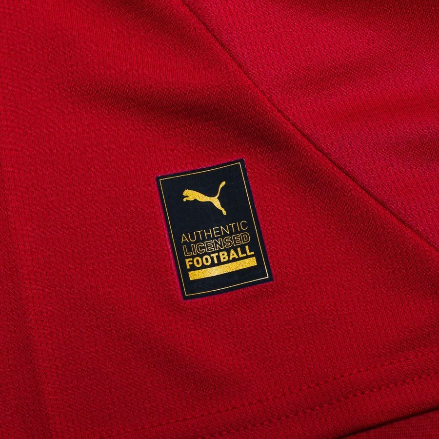 Serbia Home Shirt 2024/25 In Multiple Adult Sizes