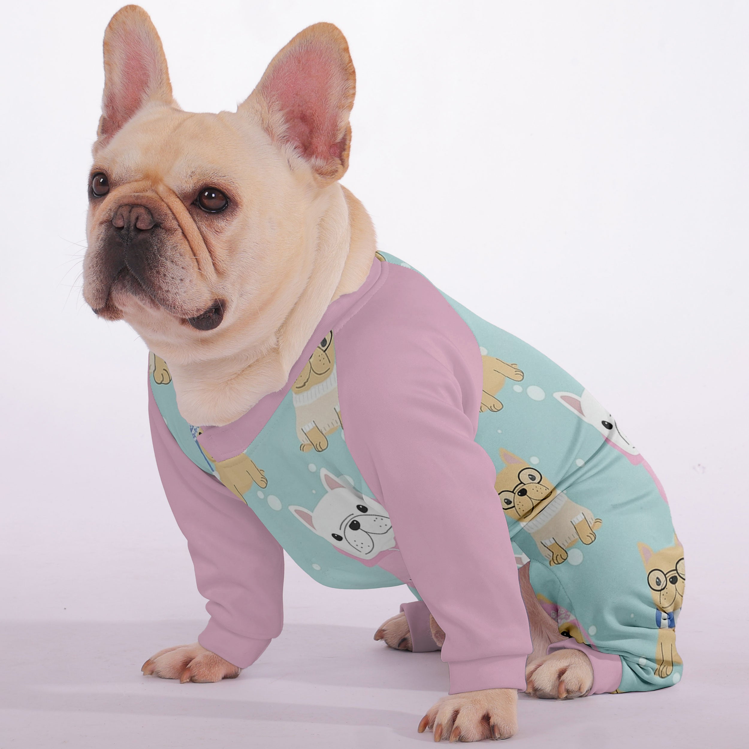 French Bulldog Harely Frenchie Pajama Useful Frenchie Gear