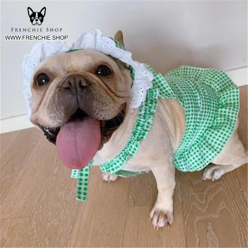 Frenchie Summer Outfit Elegent Pet Dress (W311)