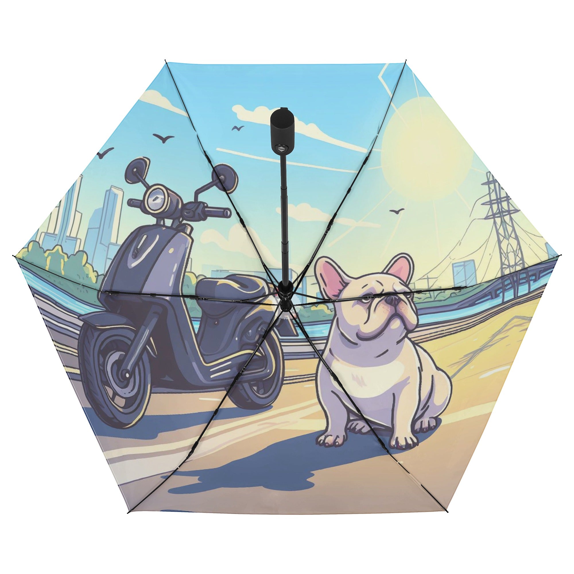 Roxy - Vet-recommended Umbrella Paw Protection | Durable Build