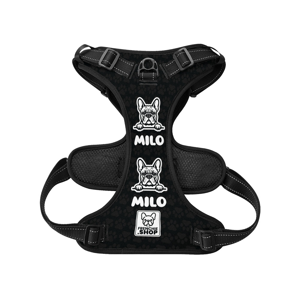 Winston - Personalized No-Pull French Bulldog Dog Harness