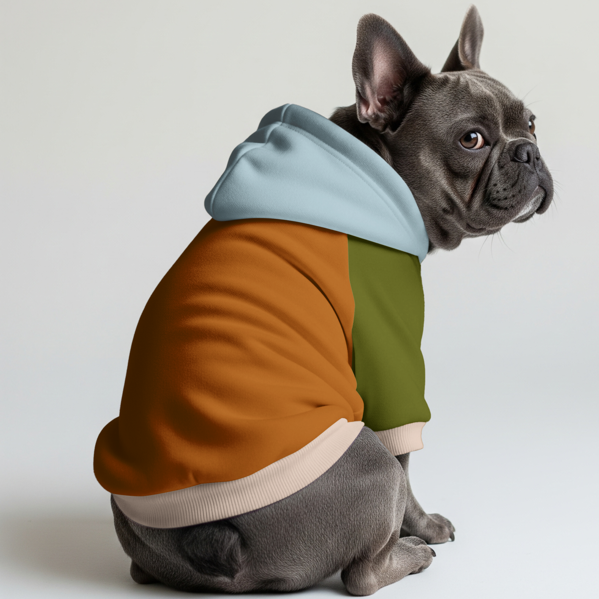French Bulldog Ollie Frenchie Hoodie Practical Pet Supply