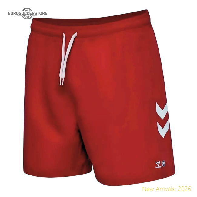 Denmark 2024-2025 Regular Shorts - Top Climalite Retro Mobility