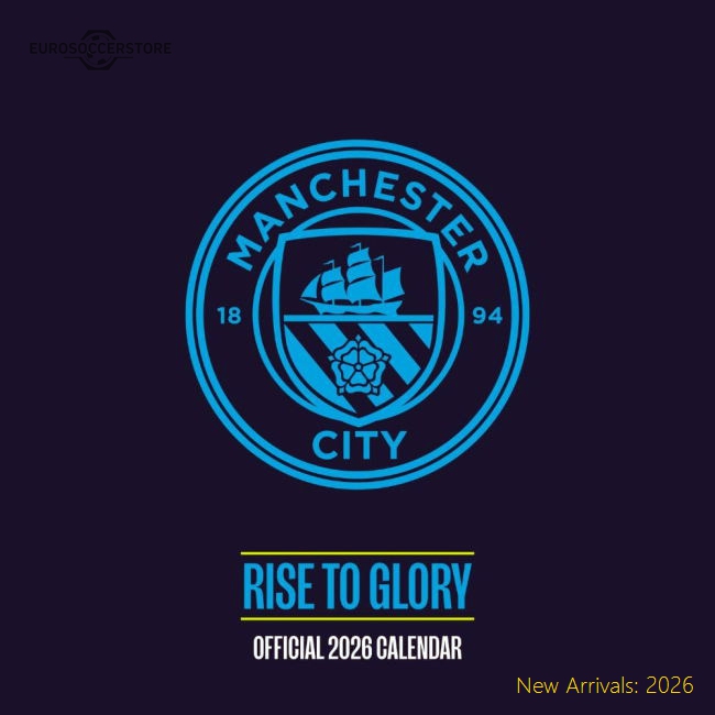 Manchester City 2024-25 Fan Version For Adults Box Match Day Shirt