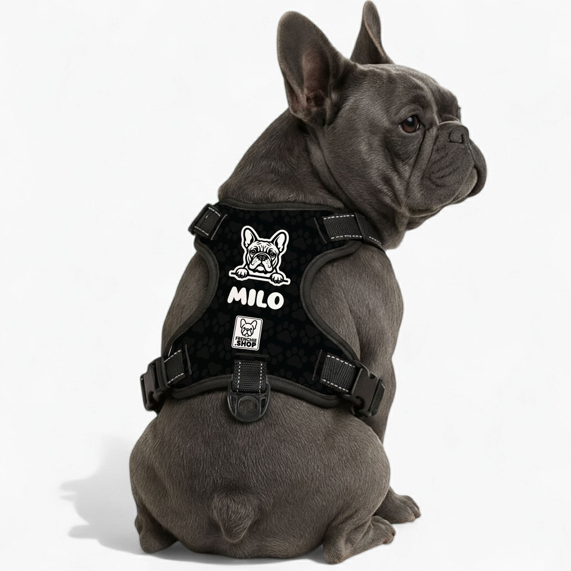 Winston - Warm Personalized No-pull French Bulldog Dog Harness Pet Gear