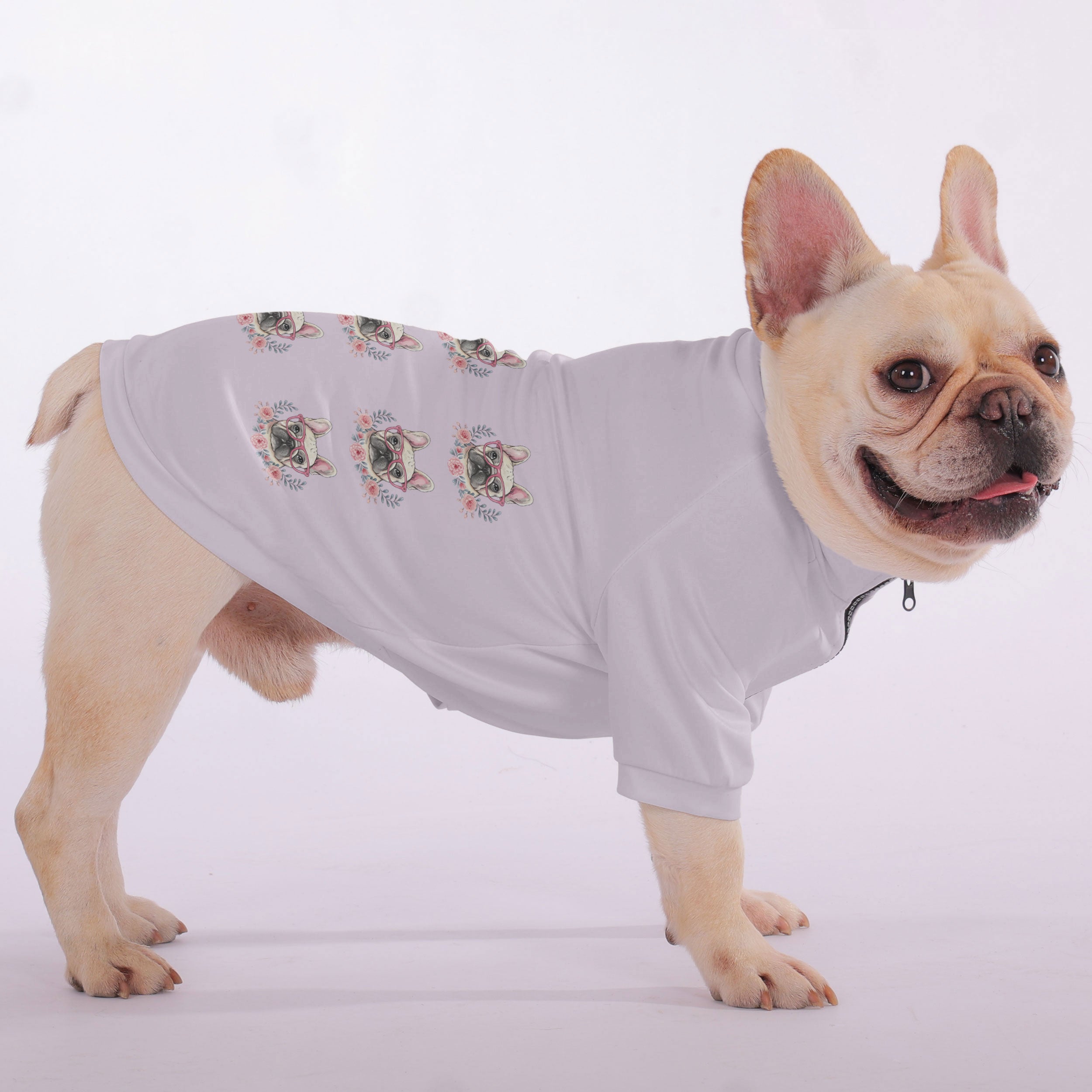 French Bulldog Salsi Snuggly Zip Up Sweatshirt For French Bulldogs Durable Dog Item