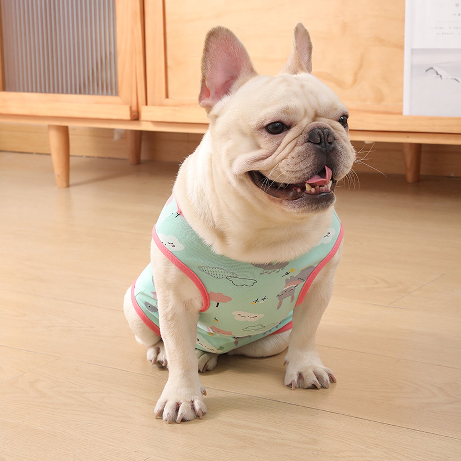 French Bulldog Lover Pawjoy French Bulldog Physiological Pants – Cute