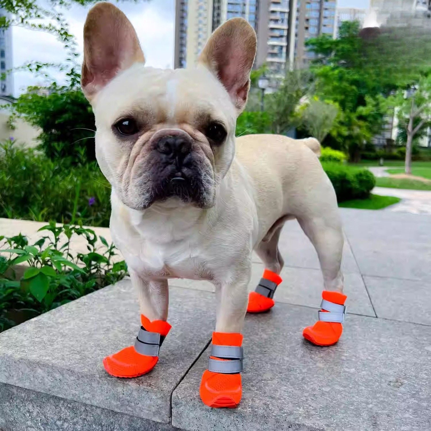 French Bulldog Lightweight Mesh Frenchie Shoes – Perfect For Summer