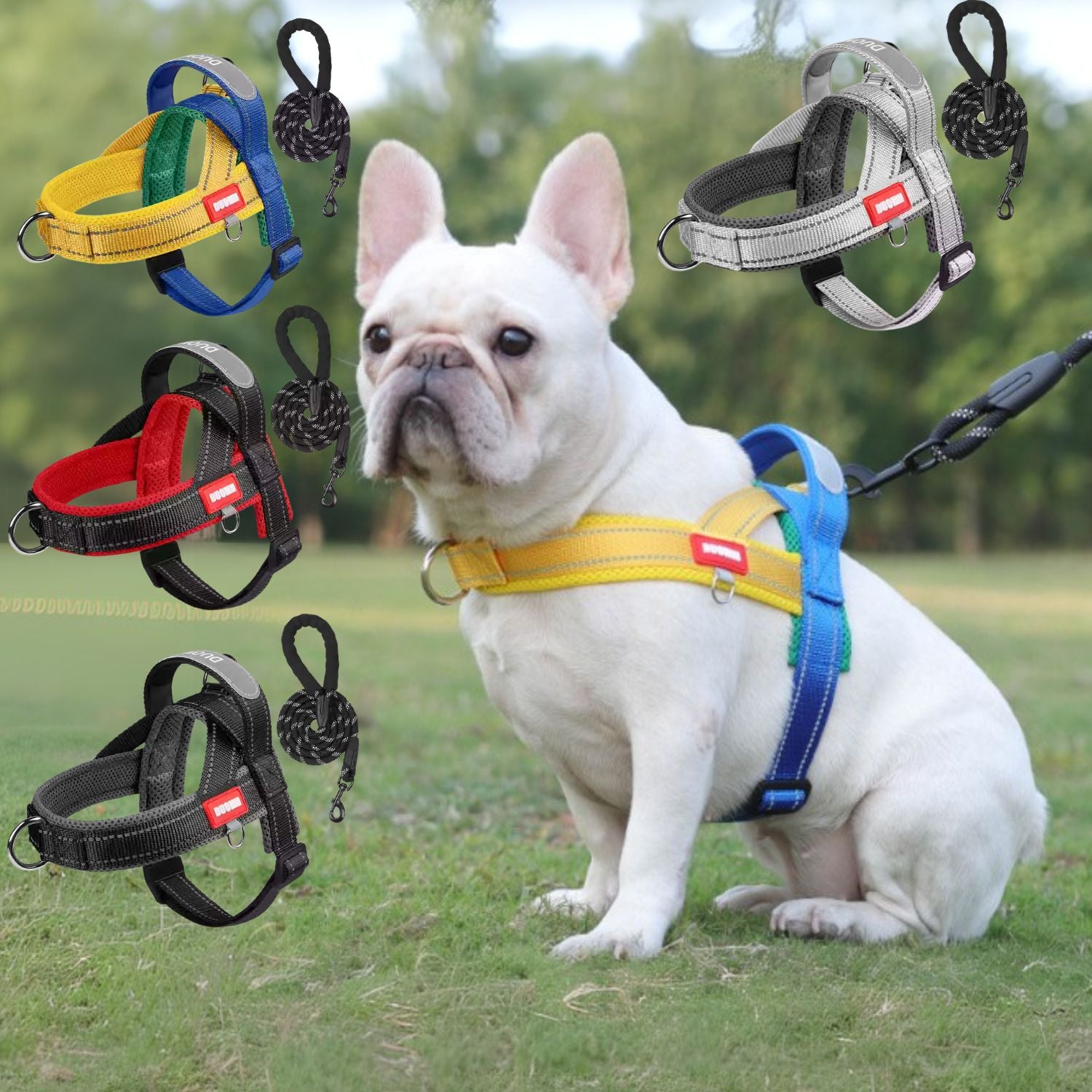 Frenchie Harness And Leash Set – No-pull Y-shaped Stylish Fit Indoor Use