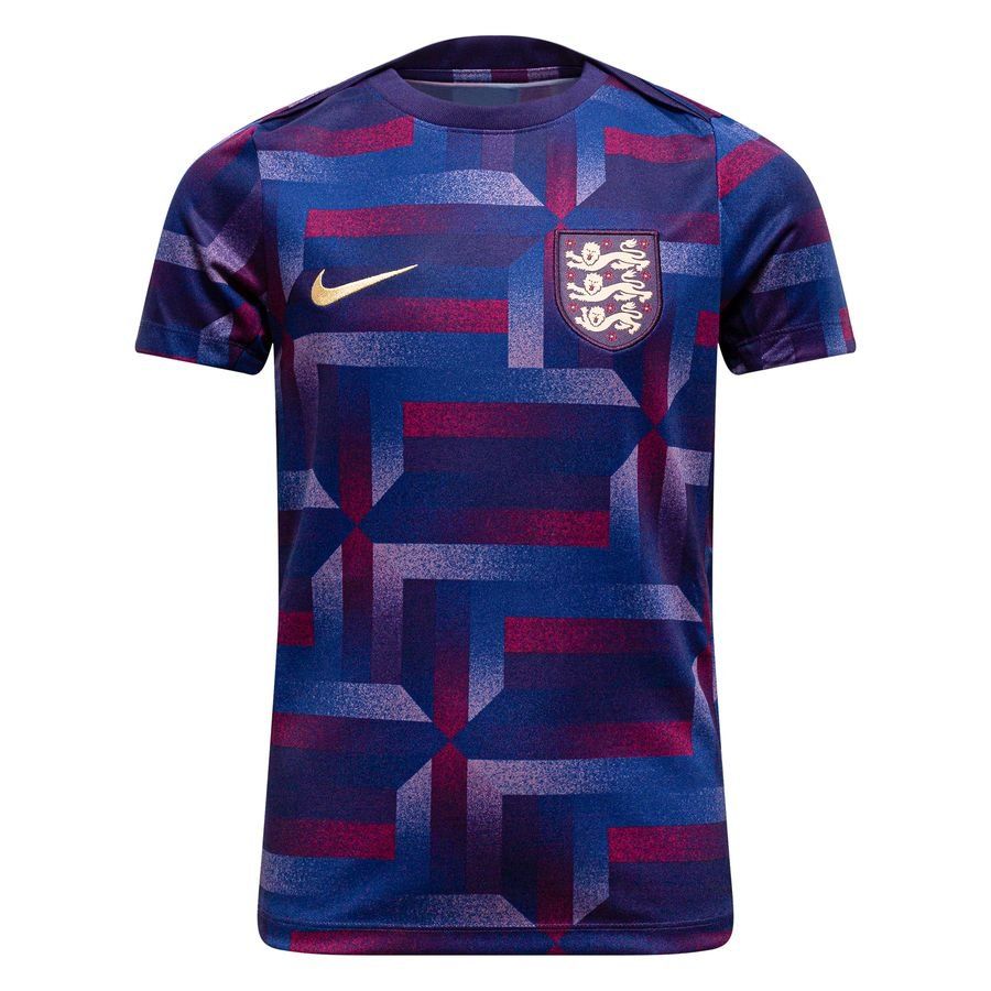 England Training T Shirt Dri Fit Academy Pro Pre Match Purple Ink/sesa