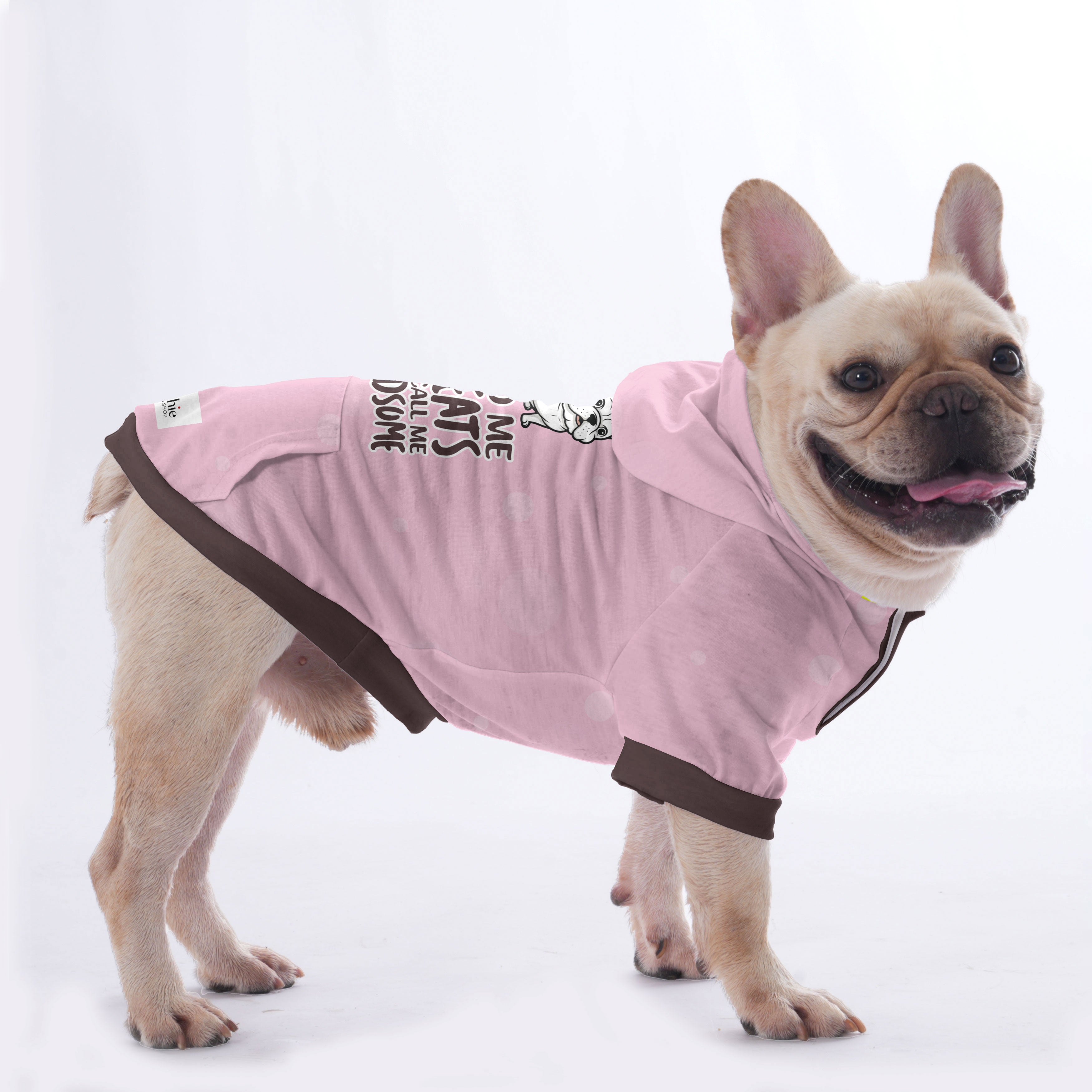 French Bulldog Feed Me Treats And Call Me Handsome Hoodies For French