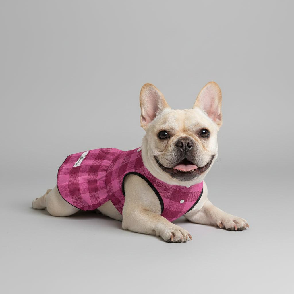 Giannaya - Frenchie French Bulldog Dresses For Females For Frenchie Pups
