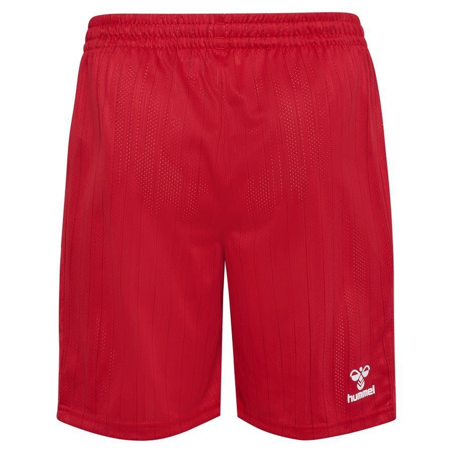 [LK] Denmark Shorts Pro Away Uniform 2026/27