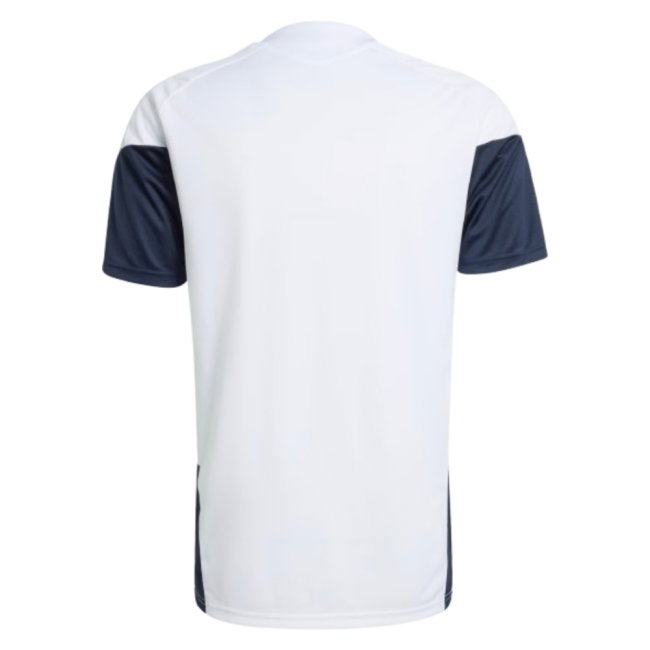 2026-2027 Argentina Training Jersey (White)