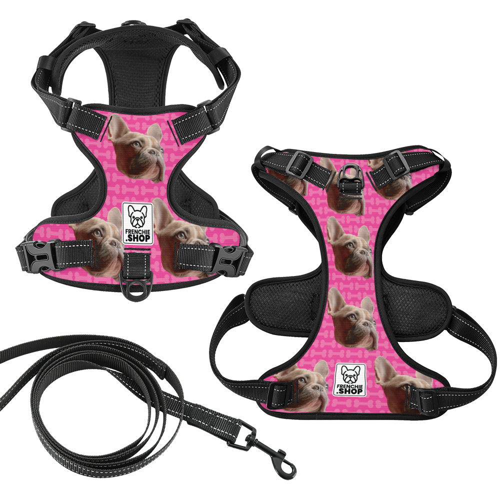 Personalized No-pull French Bulldog Dog Harness Indoor Use | Comfort Fit