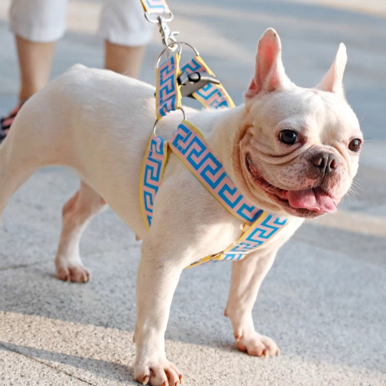 BarkTrend Frenchie Greek Key Harness and Leash – Stylish Secure Dog Walking Set