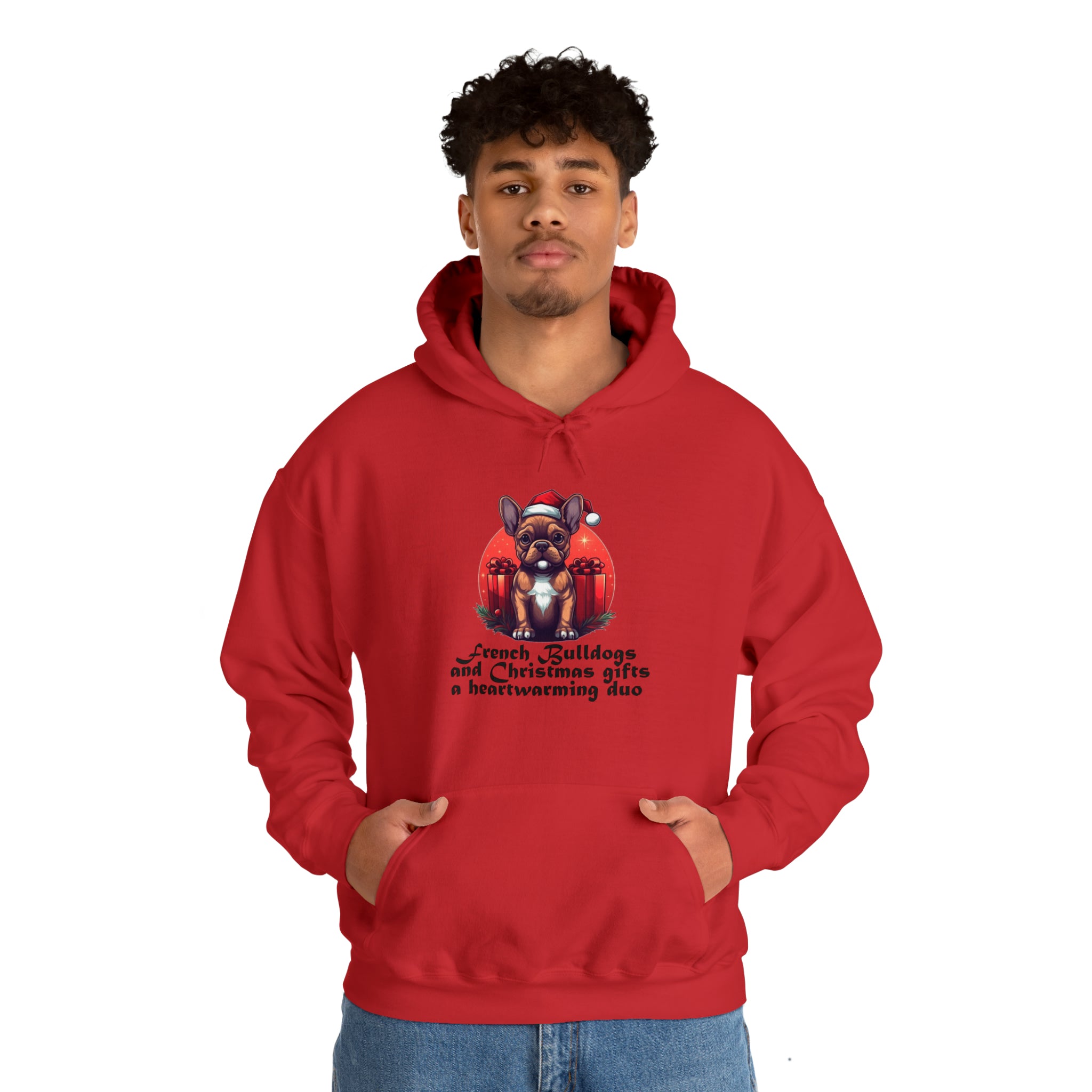 Stylish Frenchie And Christmas Gifts Unisex Hoodie for Daily Life