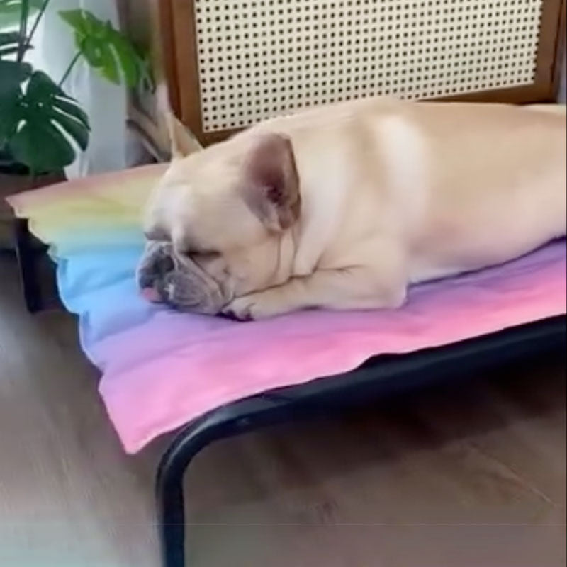 Stylish Icepup Frenchie Summer Cooling Mat With Advanced Ice Tech for...