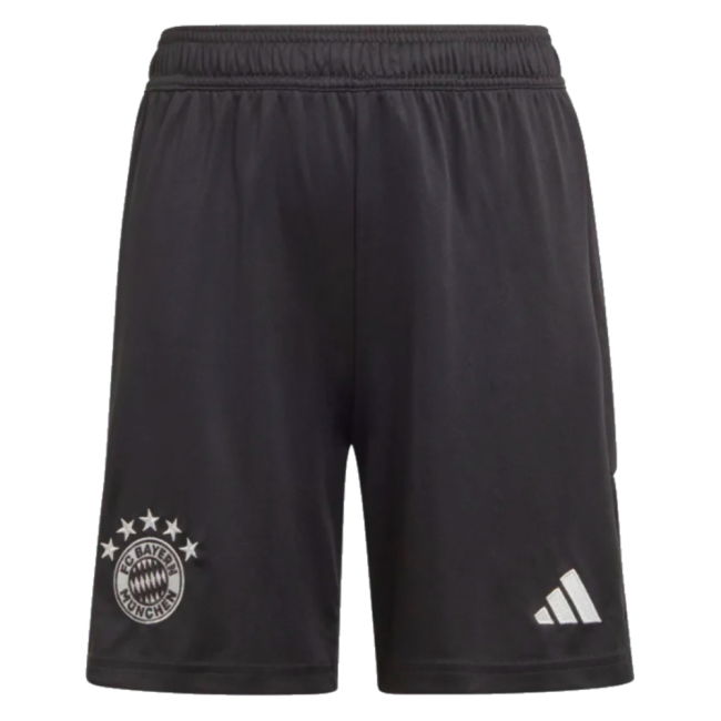 Top Grade 2023-2024 Bayern Munich Goalkeeper With Limited Edition