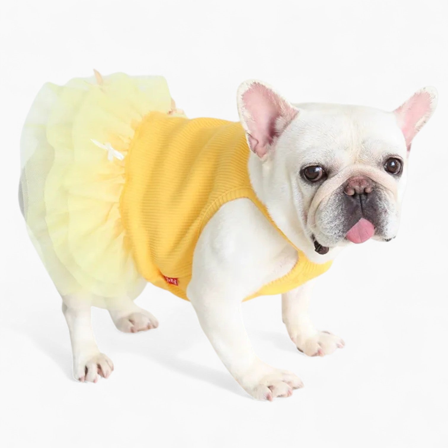 French Bulldog Petstyle Frenchie Princess Dress – Soft Elegant Skirt