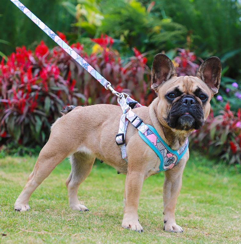 French Bulldog专属 Lucentlead Frenchie Adjustable Harness And Leash Set...