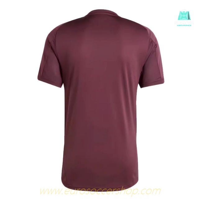 2024-2025 Bayern Munich Training Shirt (Shadow Maroon)