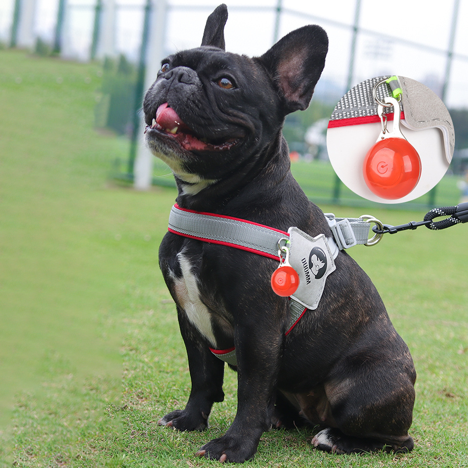 Durable Lightlatch No Pull Frenchie Reflective Harness for Outdoor Use