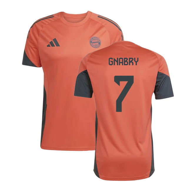 Collector's Bayern Munich Training Rare Jersey 2025-2026 (Gnabry 7)
