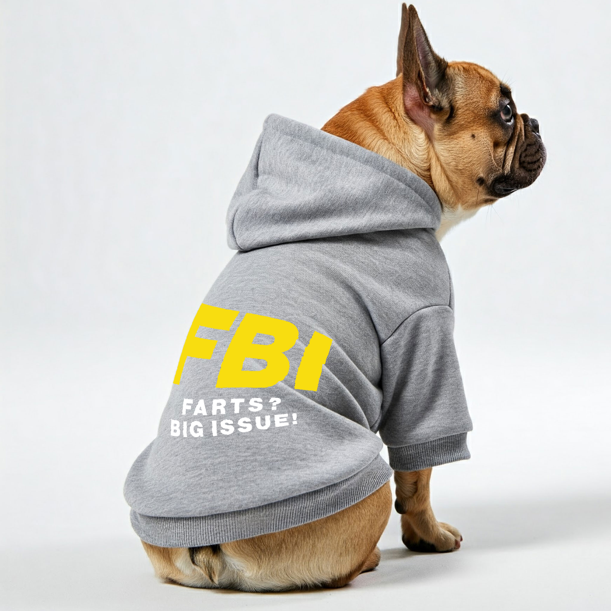 Fbi ( Farts? Big Issue! ) - Frenchie Lover Personalized French Bulldog Hoodies With Funny Quotes – Stylish, Cozy, And Premium 100% Cotton Outdoor Style